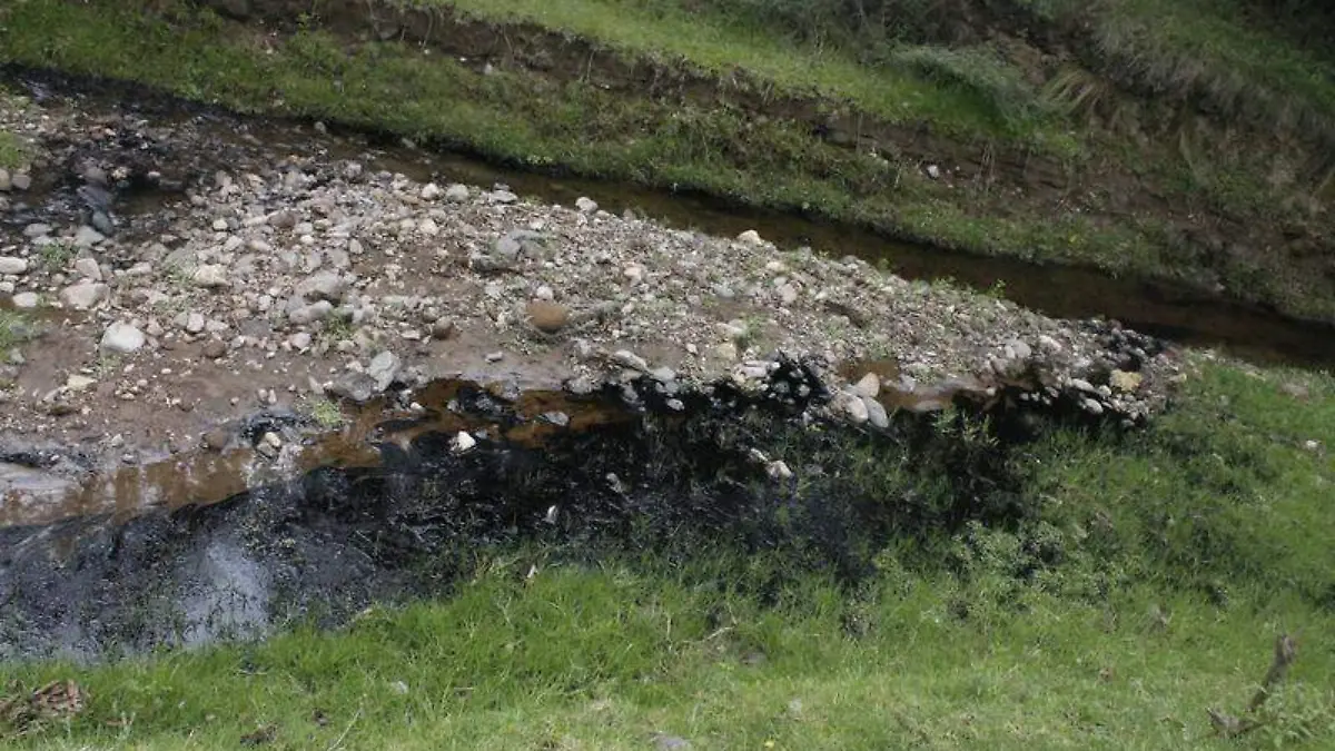 Riachuelo contaminado Ixtacuixtla (3)